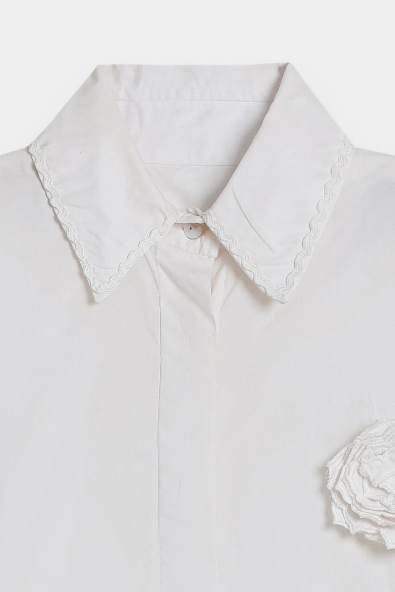 TOP (E0008/120/001) - Image 11