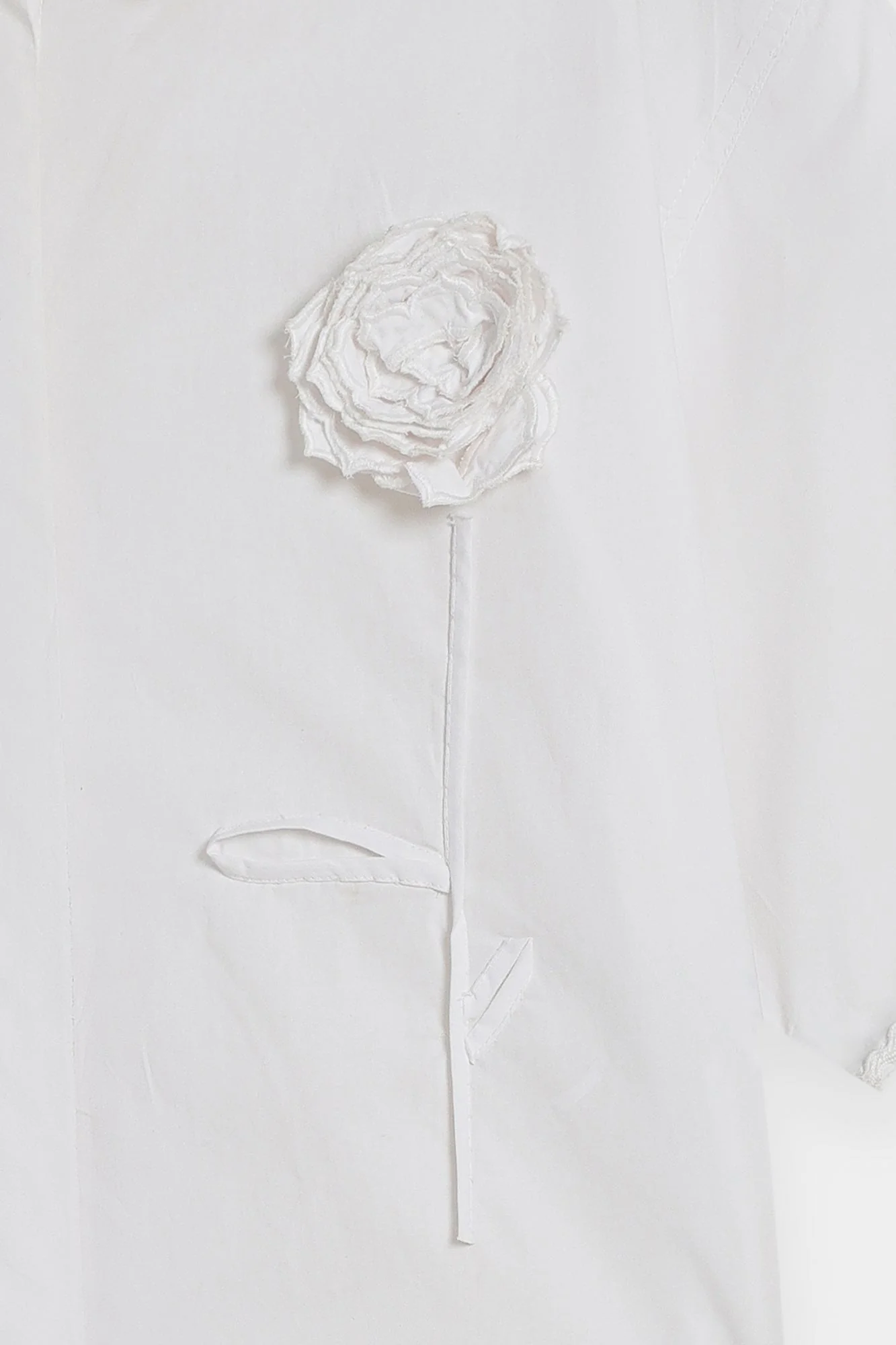 TOP (E0008/120/001) - Image 12